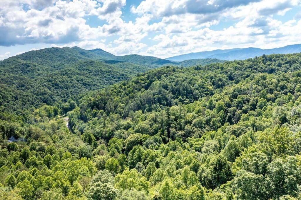 Romantic Gem, 2 Acres, Hot Tub, Free Pet, King Bed Βίλα Pigeon Forge Εξωτερικό φωτογραφία